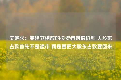 吴晓求：要建立相应的投资者赔偿机制 大股东占款首先不是退市 而是要把大股东占款要回来