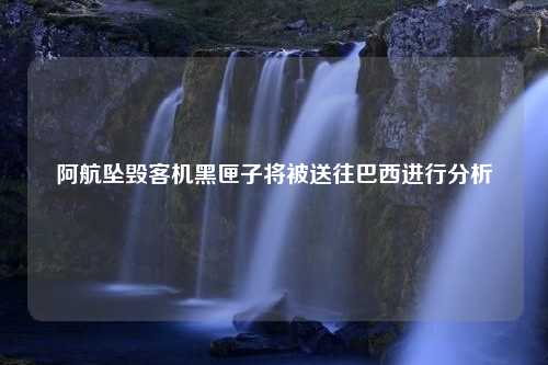 阿航坠毁客机黑匣子将被送往巴西进行分析