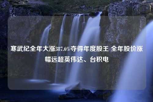 寒武纪全年大涨387.6%夺得年度股王 全年股价涨幅远超英伟达、台积电