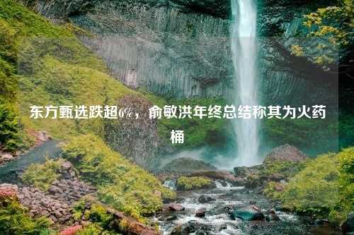 东方甄选跌超6%，俞敏洪年终总结称其为火药桶