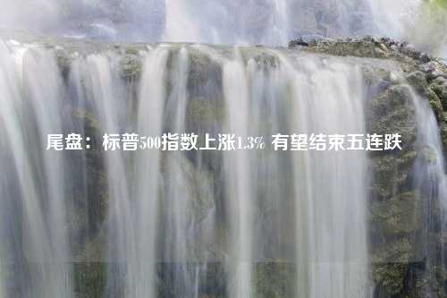 尾盘：标普500指数上涨1.3% 有望结束五连跌