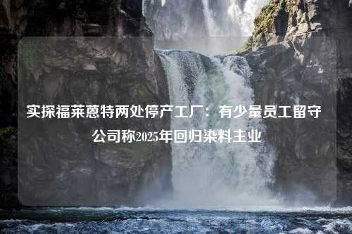 实探福莱蒽特两处停产工厂：有少量员工留守 公司称2025年回归染料主业