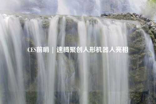 CES前哨 | 速腾聚创人形机器人亮相