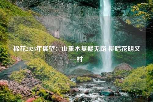 棉花2025年展望：山重水复疑无路 柳暗花明又一村