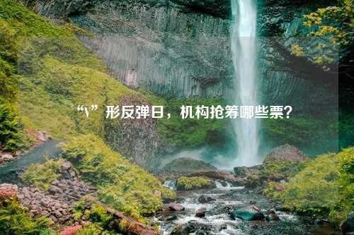 “V”形反弹日，机构抢筹哪些票？