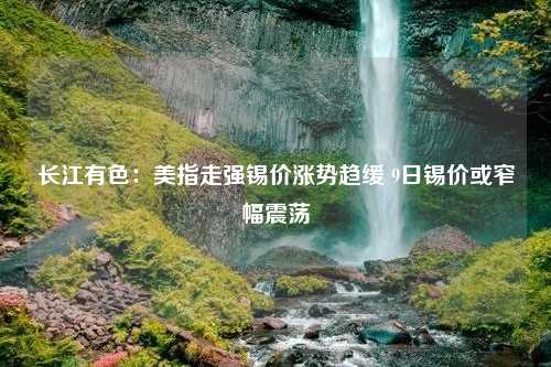 长江有色：美指走强锡价涨势趋缓 9日锡价或窄幅震荡