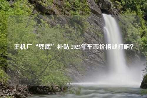 主机厂“兜底”补贴 2025年车市价格战打响？