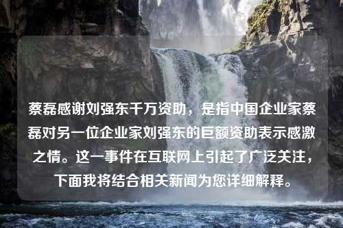 蔡磊感谢刘强东千万资助，是指中国企业家蔡磊对另一位企业家刘强东的巨额资助表示感激之情。这一事件在互联网上引起了广泛关注，下面我将结合相关新闻为您详细解释。