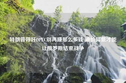 特朗普呼吁OPEC别再赚那么多钱 油价降低才能让俄罗斯结束战争