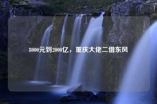 8000元到2000亿，重庆大佬二借东风