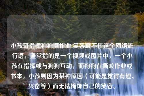 小孩哥指挥狗狗撕作业 笑容藏不住这个网络流行语，通常指的是一个视频或图片中，一个小孩在指挥或与狗狗互动，而狗狗在撕咬作业或书本，小孩则因为某种原因（可能是觉得有趣、兴奋等）而无法掩饰自己的笑容。