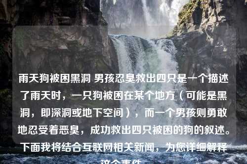 雨天狗被困黑洞 男孩忍臭救出四只是一个描述了雨天时，一只狗被困在某个地方（可能是黑洞，即深洞或地下空间），而一个男孩则勇敢地忍受着恶臭，成功救出四只被困的狗的叙述。下面我将结合互联网相关新闻，为您详细解释这个事件。