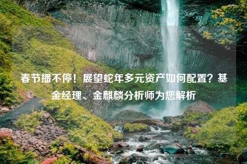 春节播不停！展望蛇年多元资产如何配置？基金经理、金麒麟分析师为您解析