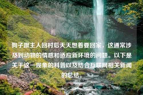 狗子跟主人回村后天天想着要回家，这通常涉及到动物的情感和适应新环境的问题。以下是关于这一现象的科普以及结合互联网相关新闻的总结。