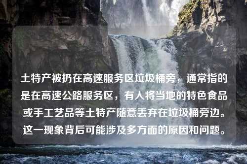 土特产被扔在高速服务区垃圾桶旁，通常指的是在高速公路服务区，有人将当地的特色食品或手工艺品等土特产随意丢弃在垃圾桶旁边。这一现象背后可能涉及多方面的原因和问题。