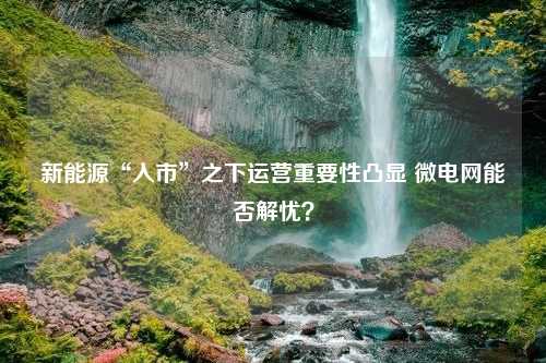 新能源“入市”之下运营重要性凸显 微电网能否解忧？