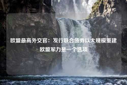 欧盟最高外交官：发行联合债券以大规模重建欧盟军力是一个选项