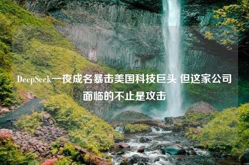 DeepSeek一夜成名暴击美国科技巨头 但这家公司面临的不止是攻击