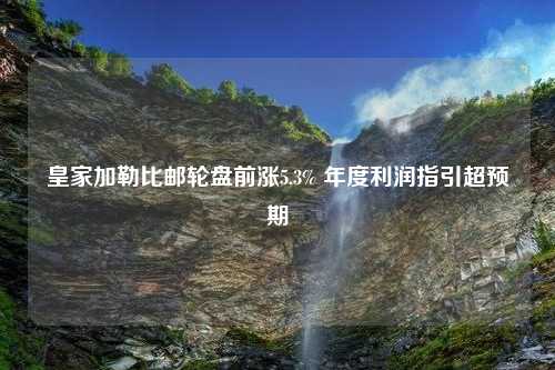 皇家加勒比邮轮盘前涨5.3% 年度利润指引超预期